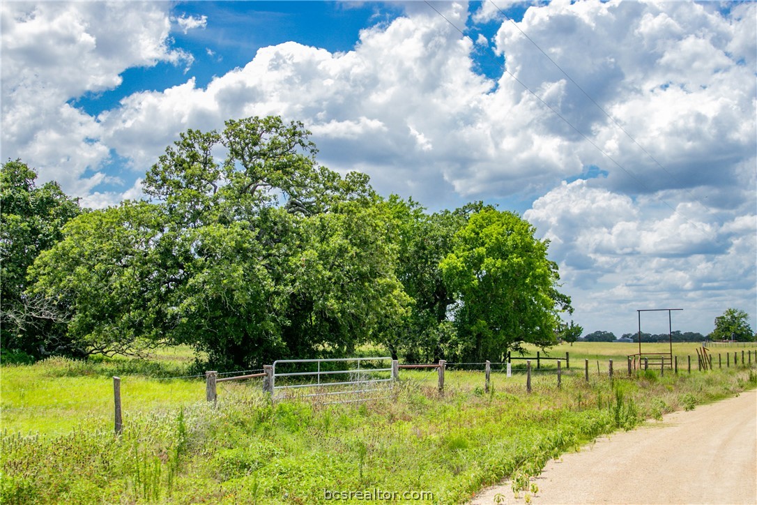 26 Legacy Road Somerville, TX 77879 - Photo 6 of 25 a view of a lake with a yard