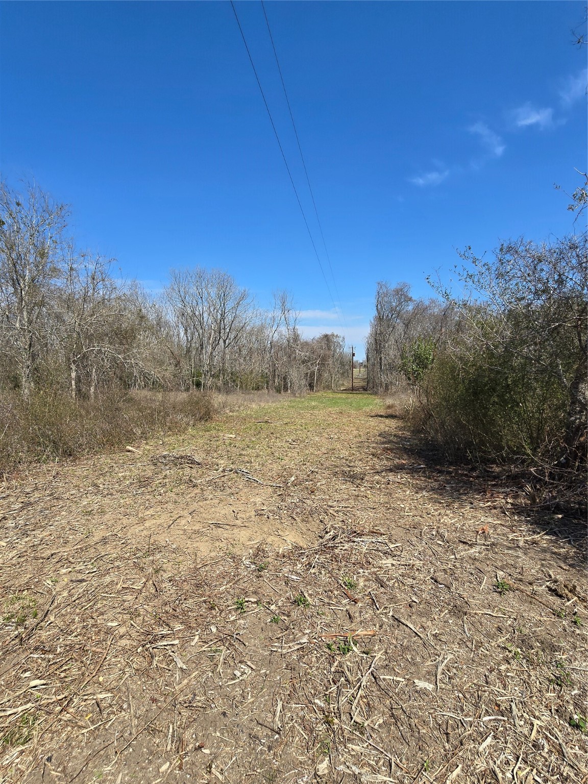 3979 Felder Road Washington, TX 77880 - Photo 11 of 14 a view of a field with an trees