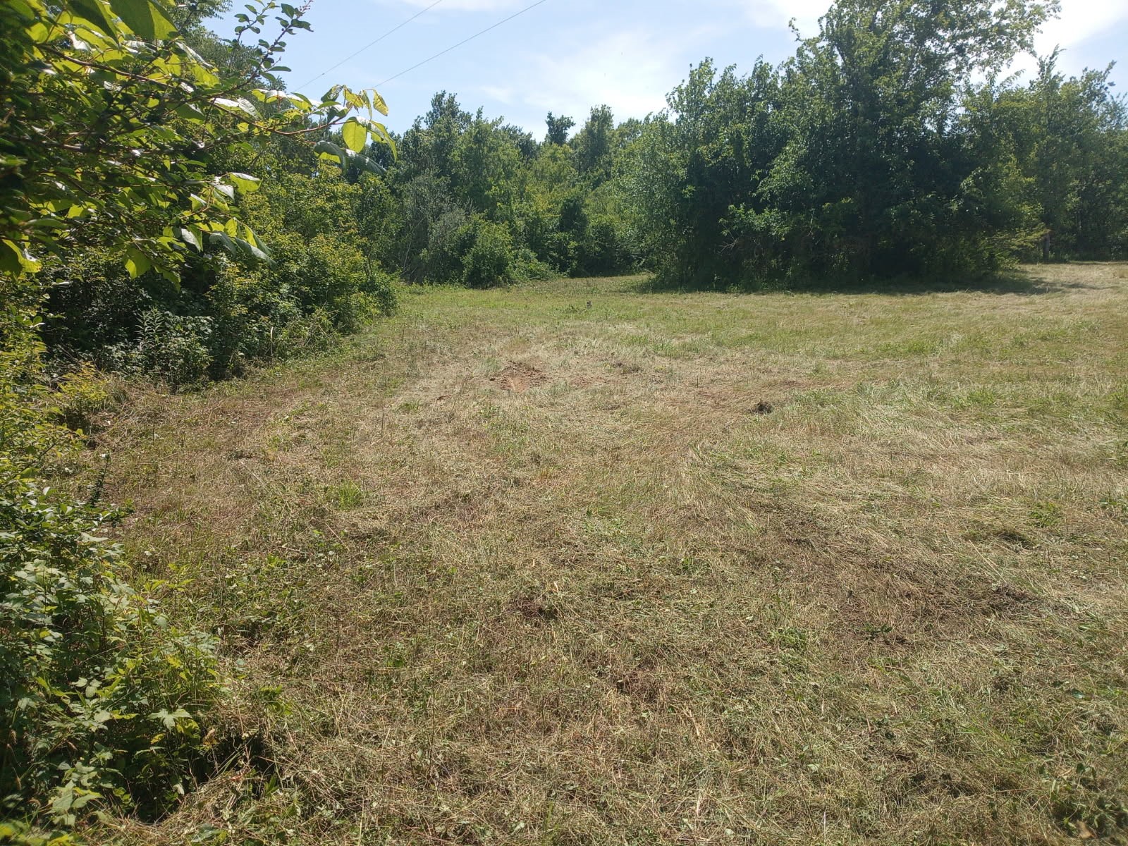 3979 Felder Road Washington, TX 77880 - Photo 4 of 14 a view of field with trees in the background