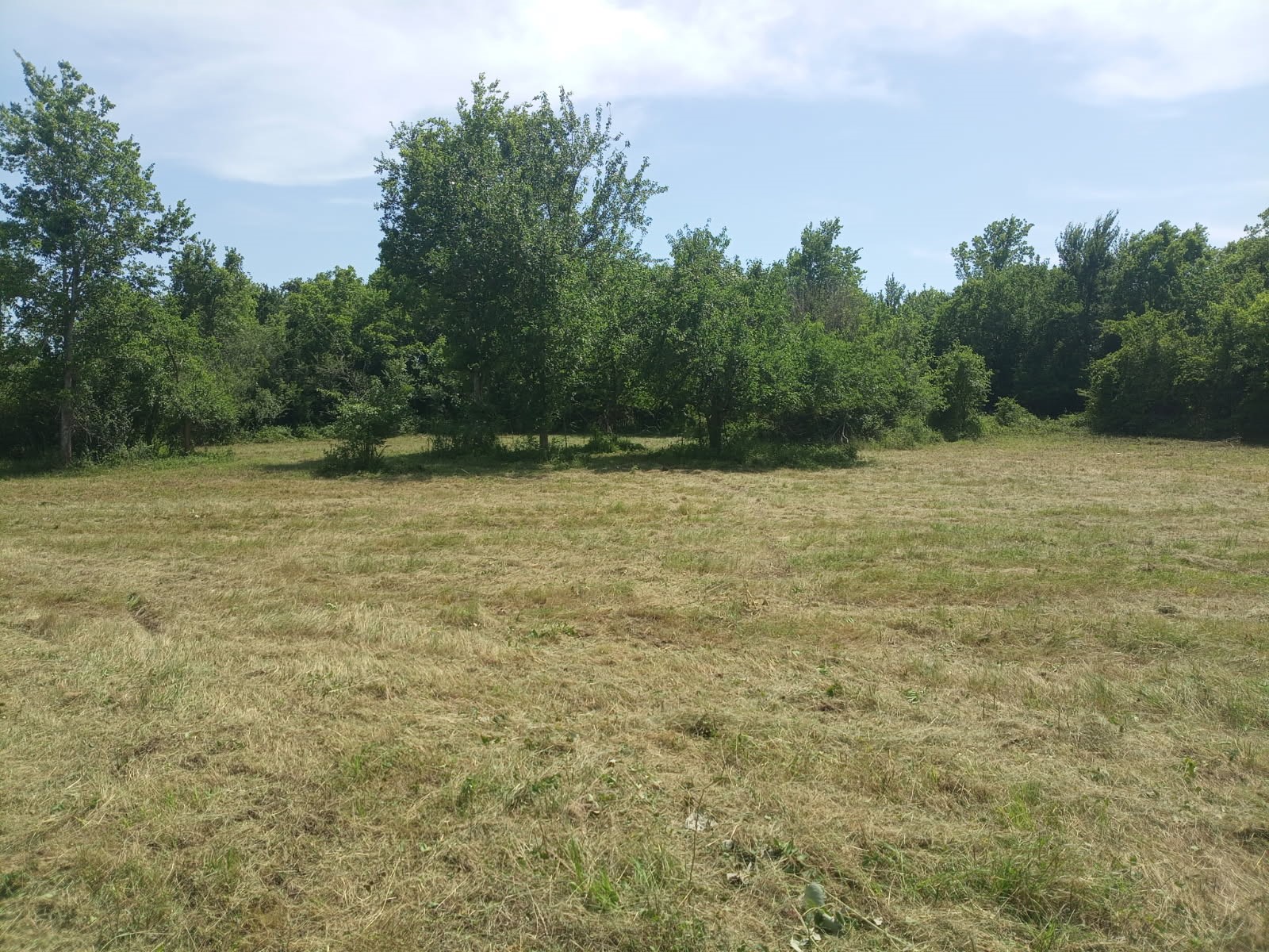 3979 Felder Road Washington, TX 77880 - Photo 5 of 14 a view of a lake view