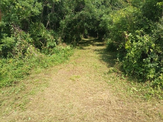 3979 Felder Road Washington, TX 77880 - Photo 8 of 14