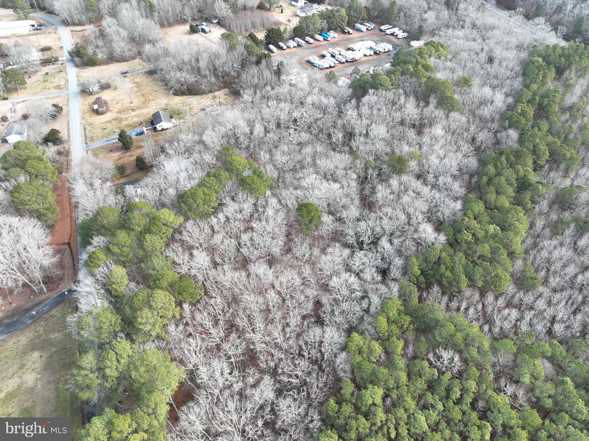 0 Lewis Road Berlin, MD 21811 - Photo 8 of 8