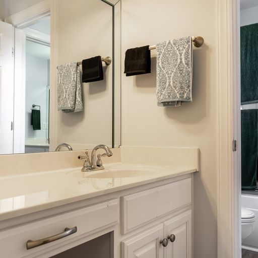 296 Rock Bridge Road Gallatin, TN 37066 - Photo 26 of 45 a bathroom with a sink and a mirror