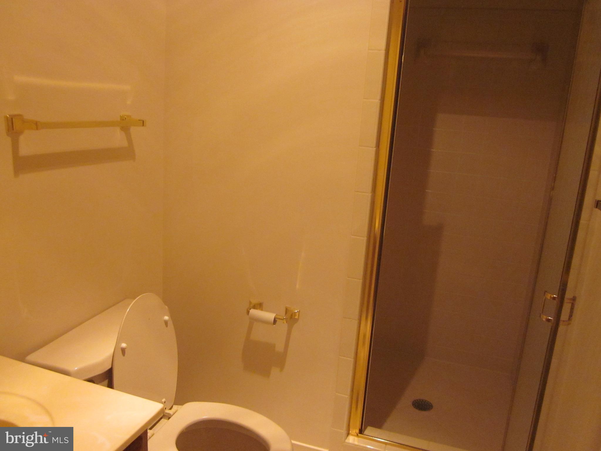18766 Woodburn Road Leesburg, VA 20175 - Photo 18 of 33 Full Bath first floor