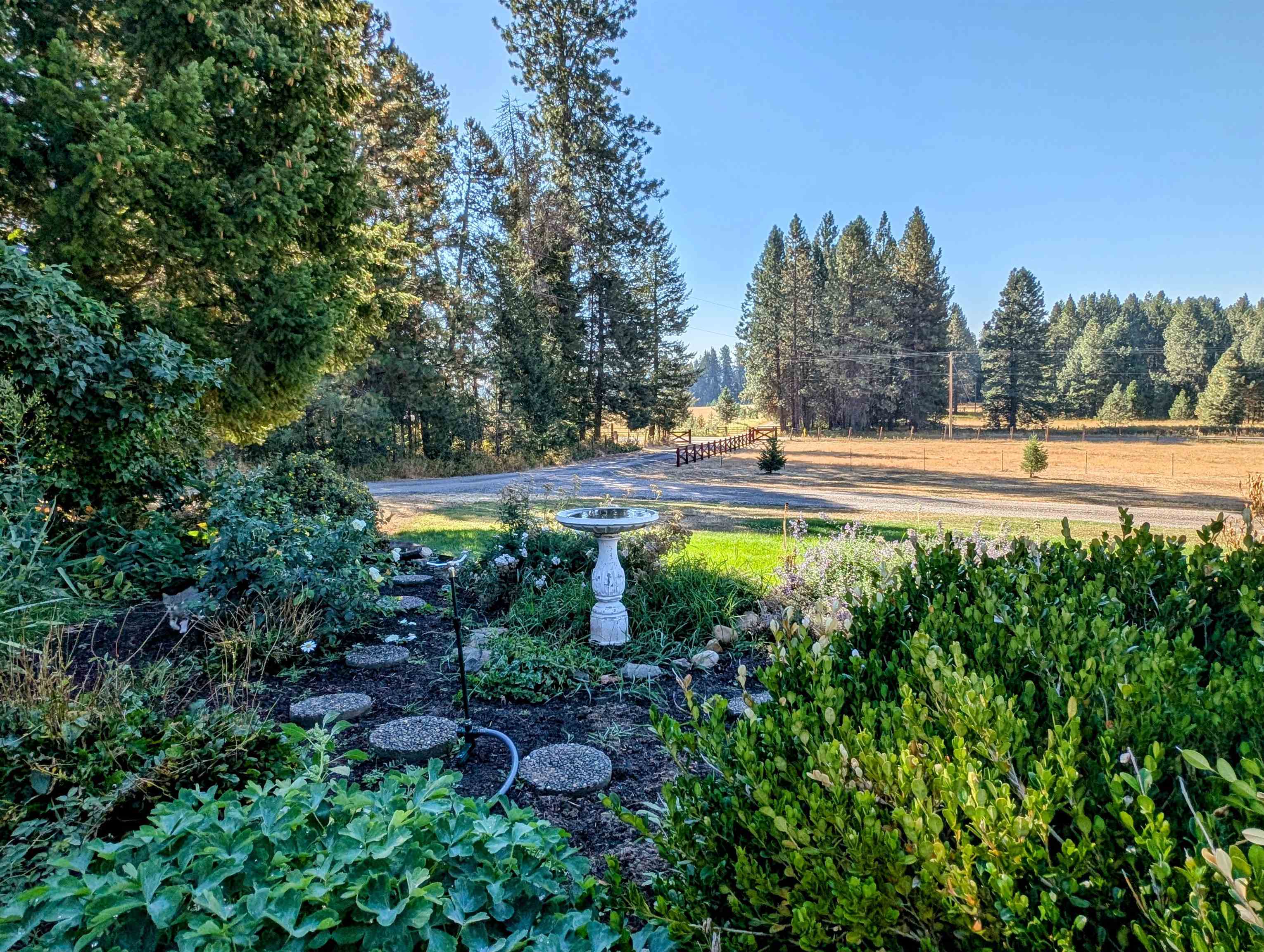 4738 Price Road Clayton, WA 99110 - Photo 35 of 50