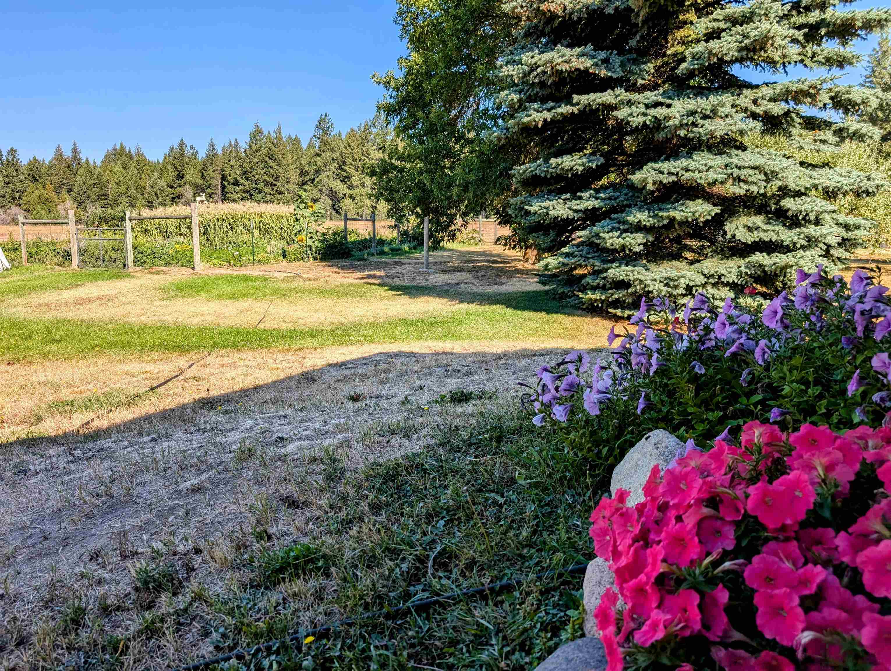 4738 Price Road Clayton, WA 99110 - Photo 36 of 50