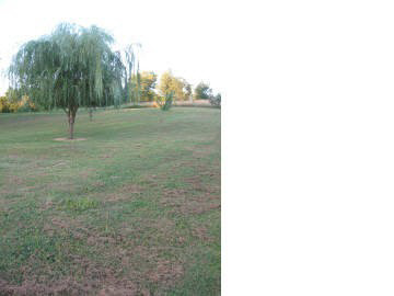 90 Bethel Church Road Cobden, IL 62920 - Photo 6 of 16 Gallery Image 6
