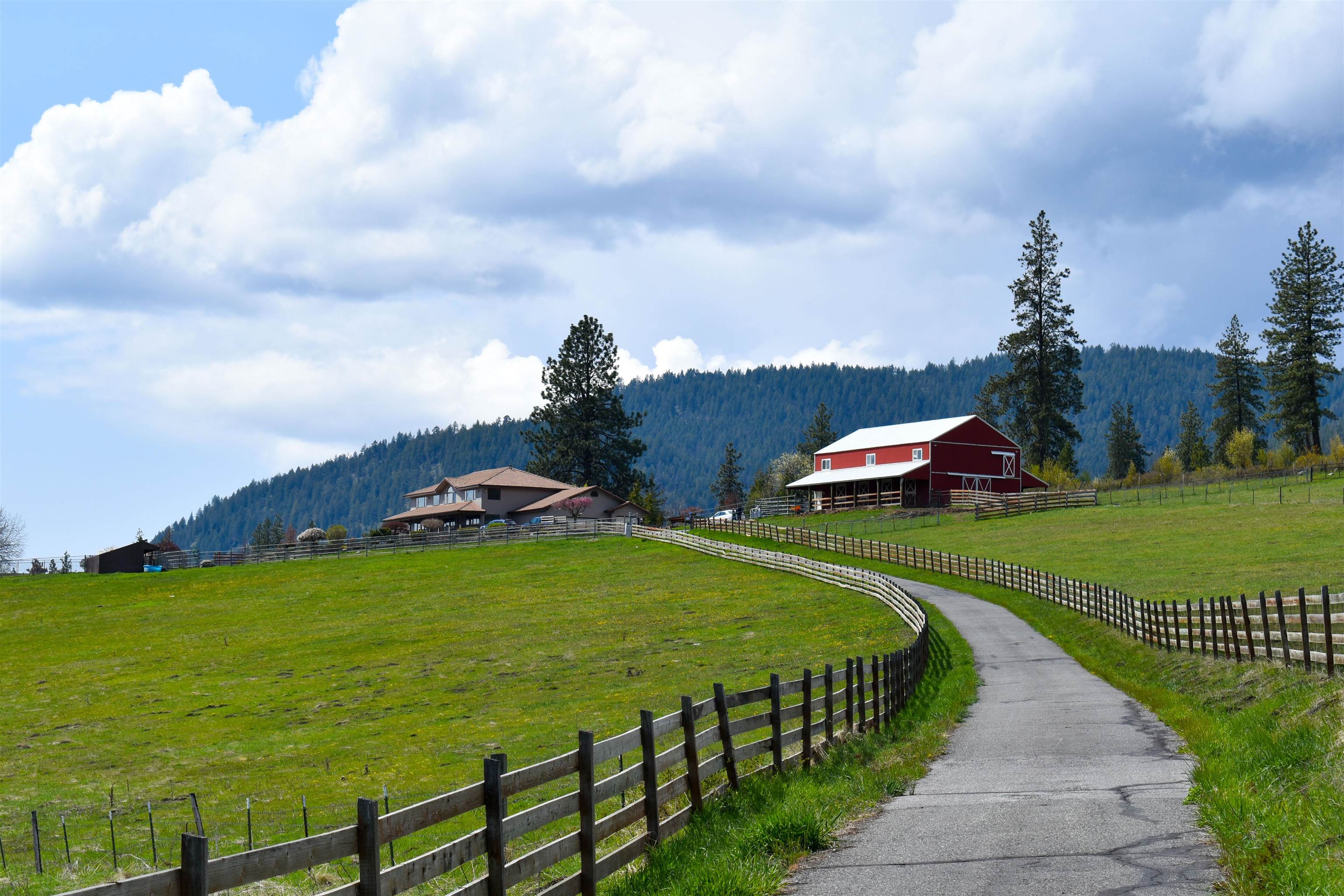 63 Windy Ridge Lane Kettle Falls, WA 99141 - Photo 3 of 50 Gallery Image 3