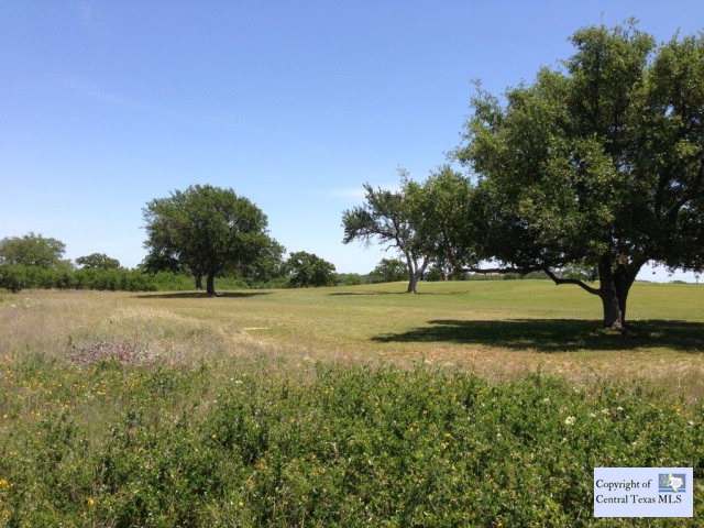 a view of a golf course