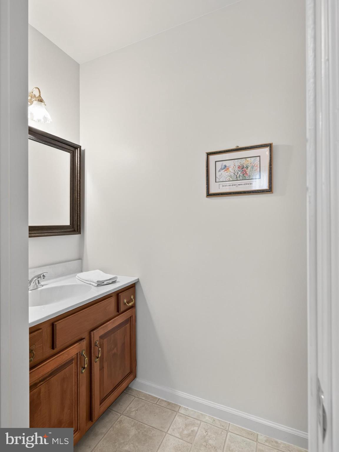 203 Pleasant Hill Drive Lititz, PA 17543 - Photo 16 of 46 a bathroom with a sink and a mirror