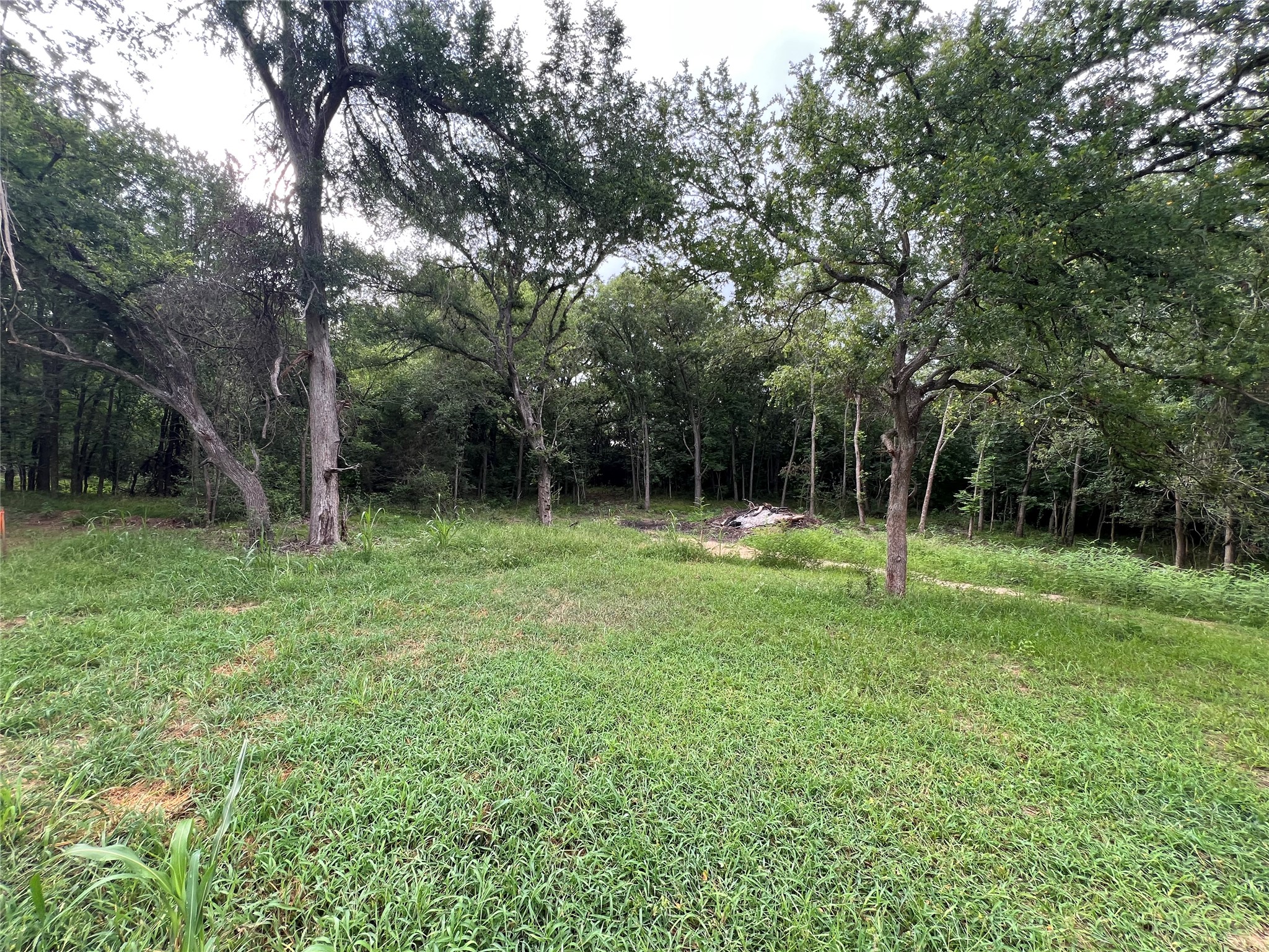 3000 Tract 2 Elgin, TX 78621 - Photo 4 of 17 Open view of property