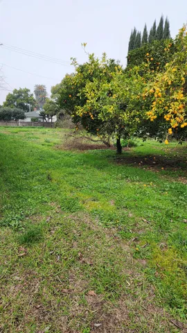 $215,000 | 438 West Leven Street, Grimes, CA 95912