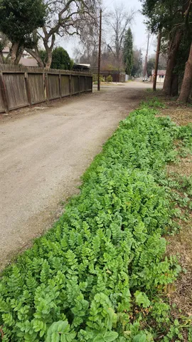 $215,000 | 438 West Leven Street, Grimes, CA 95912