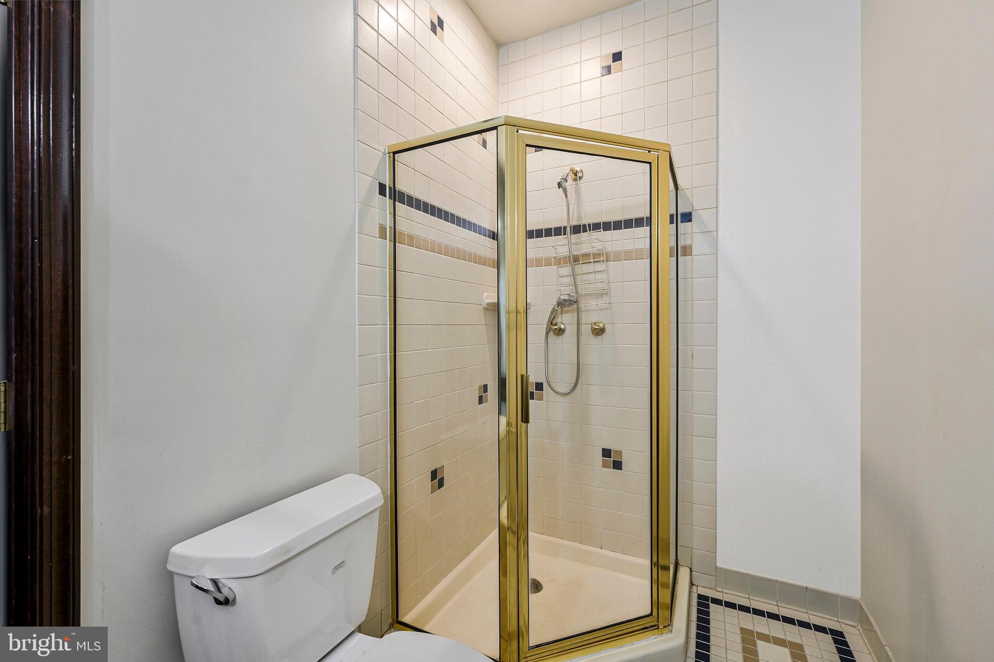 8652 Tuttle Road Springfield, VA 22152 - Photo 43 of 102 a bathroom with a shower and toilet