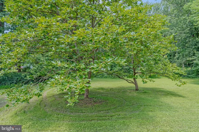 $1,175,000 | 8652 Tuttle Road, Springfield, VA 22152