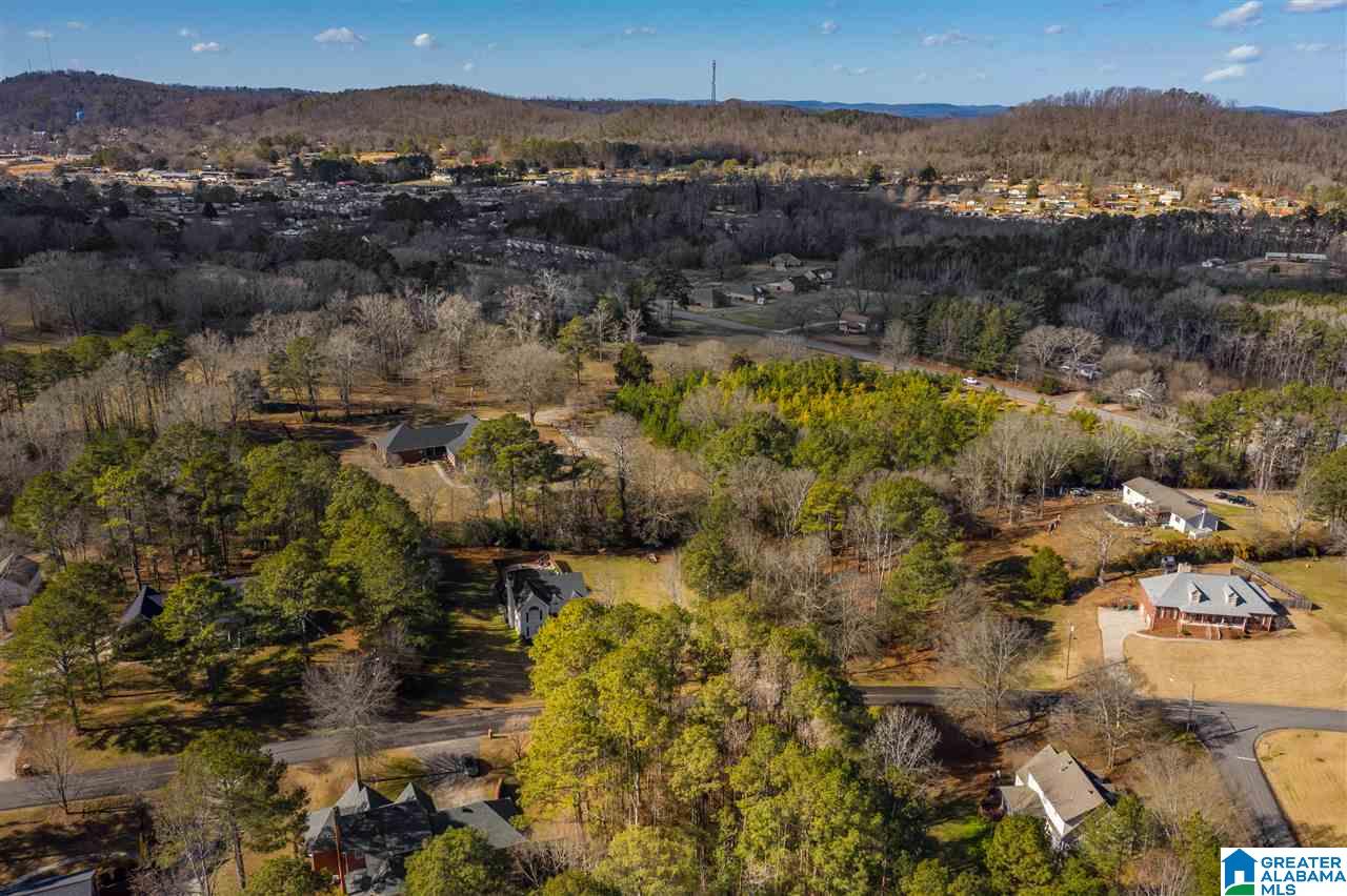 0 Scenic Trail, Unit 1 Oneonta, AL 35121 - Photo 12 of 18