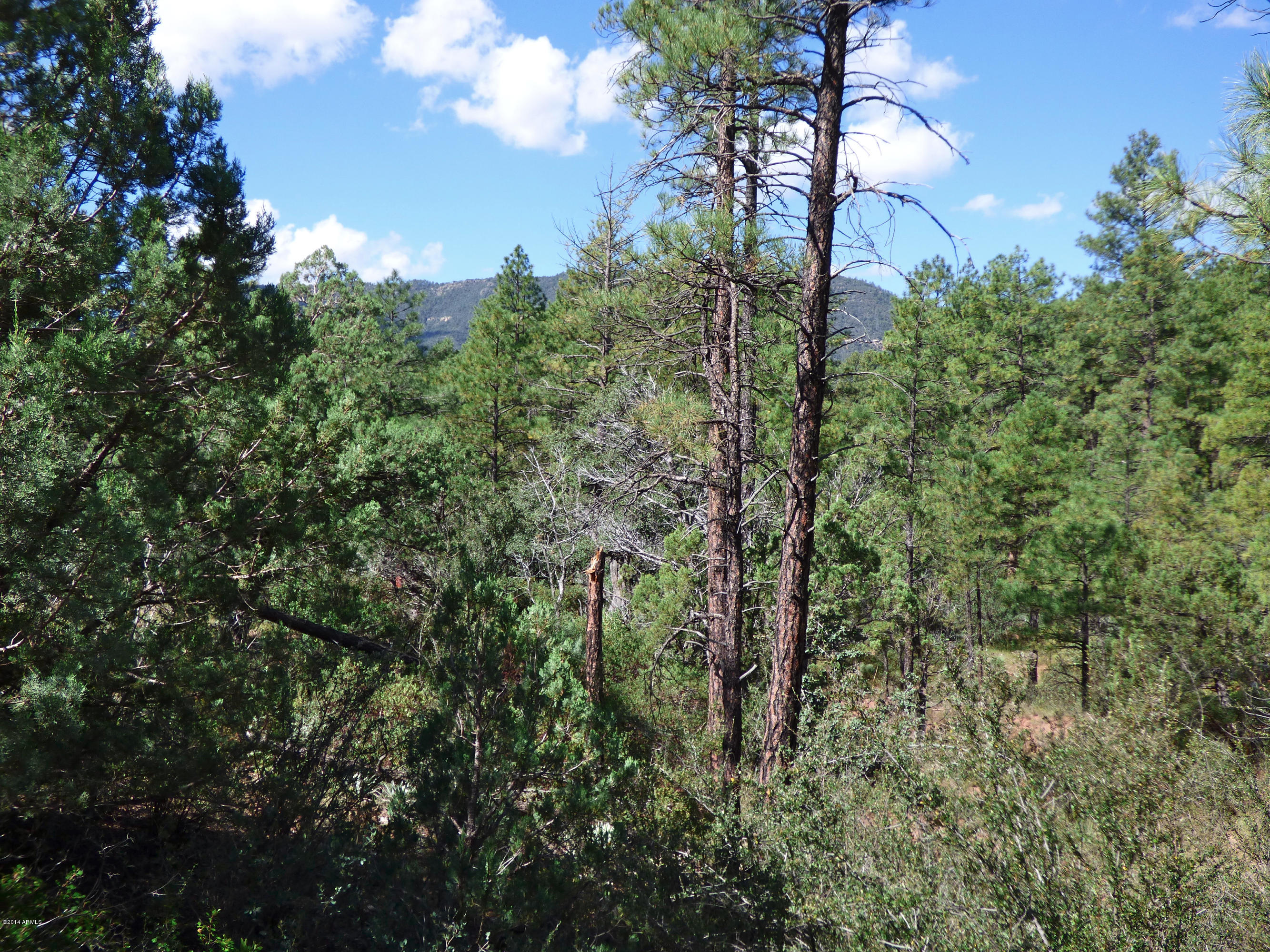 3 Whispering Pines Road, Unit 3 Pine, AZ 85544 - Photo 3 of 6 P1000010