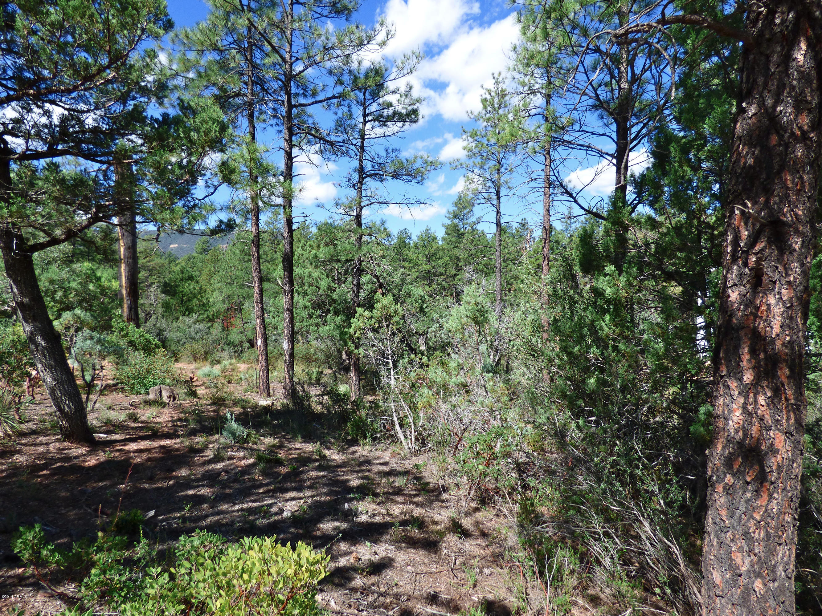 3 Whispering Pines Road, Unit 3 Pine, AZ 85544 - Photo 4 of 6 P1000011