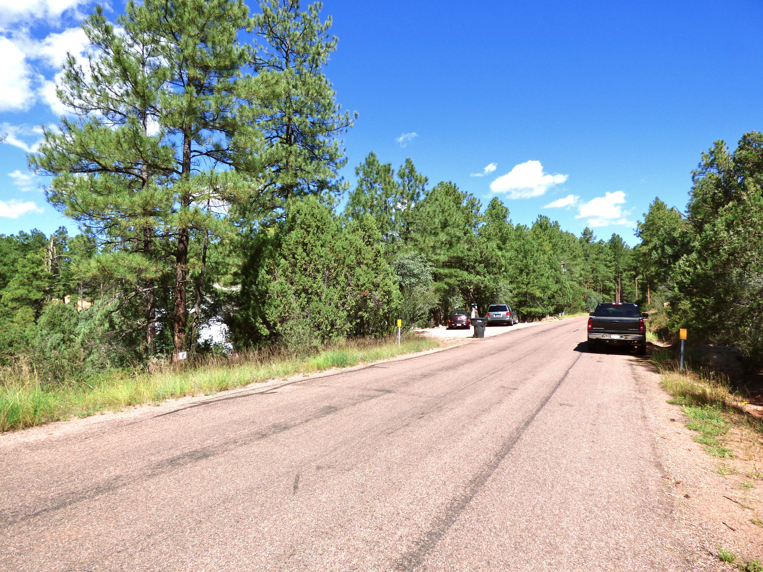 3 Whispering Pines Road, Unit 3 Pine, AZ 85544 - Photo 6 of 6 P1000013