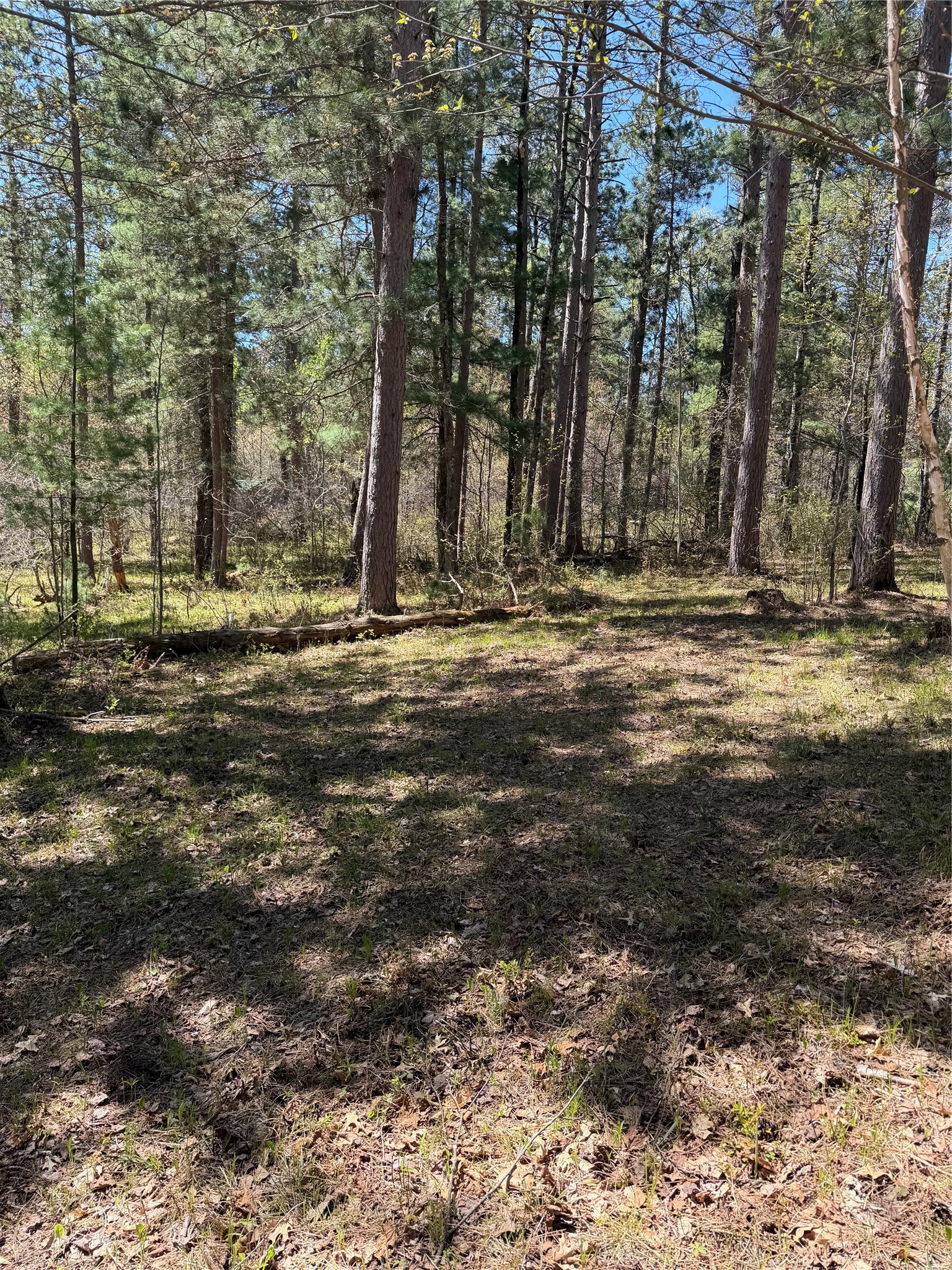 2395 Island Lake Road Barnes, WI 54873 - Photo 14 of 16