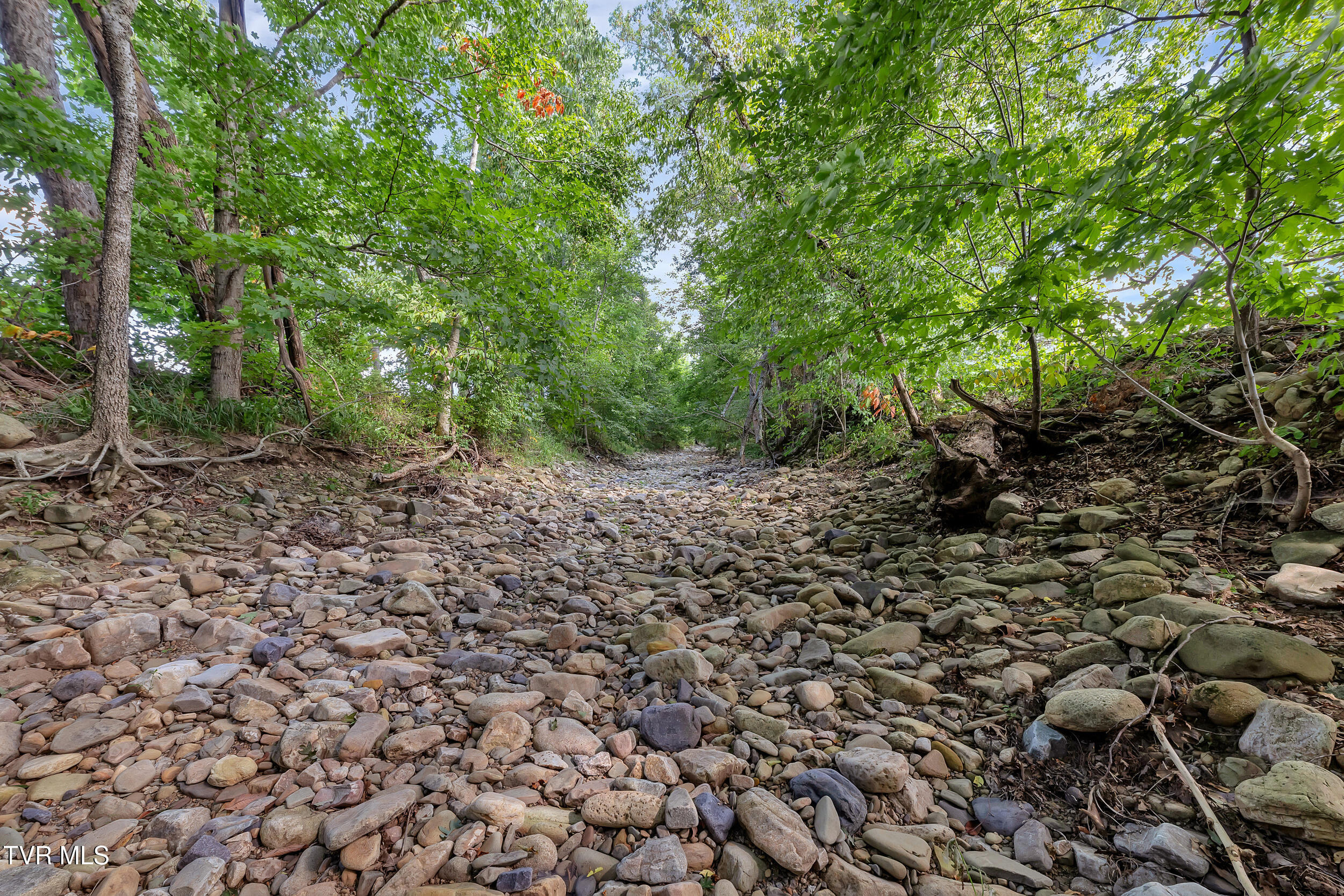 230 Fishpond Road Chuckey, TN 37641 - Photo 39 of 42 42_43