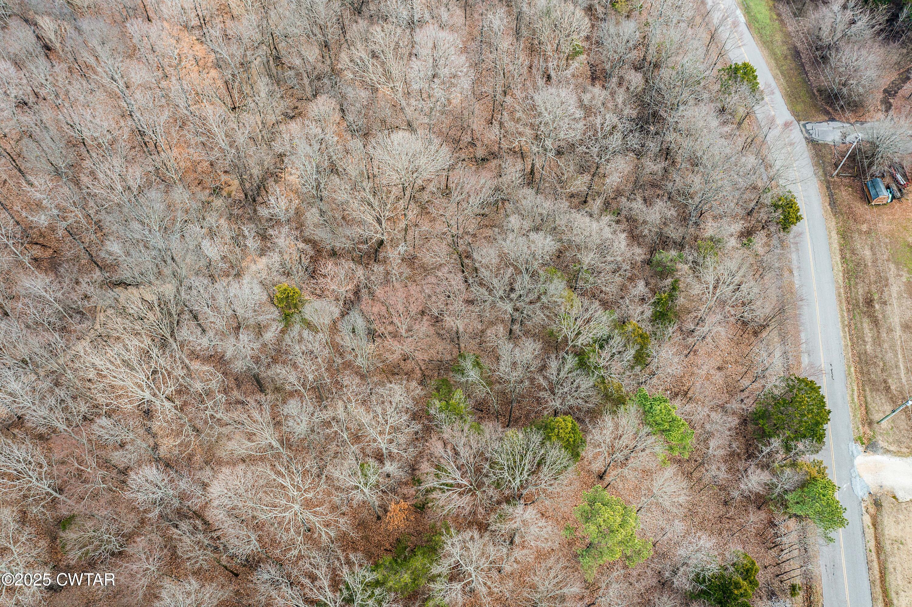 46 Lake Hayes Estates Road Trenton, TN 38382 - Photo 12 of 29 a close up of a plant