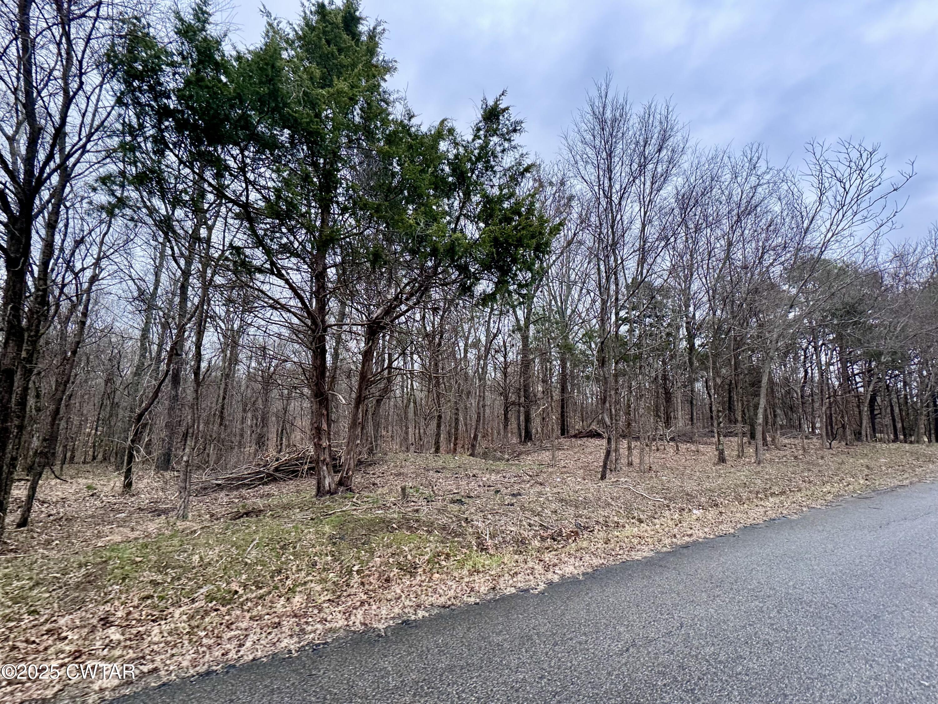 46 Lake Hayes Estates Road Trenton, TN 38382 - Photo 19 of 29 a backyard of a house with lots of trees