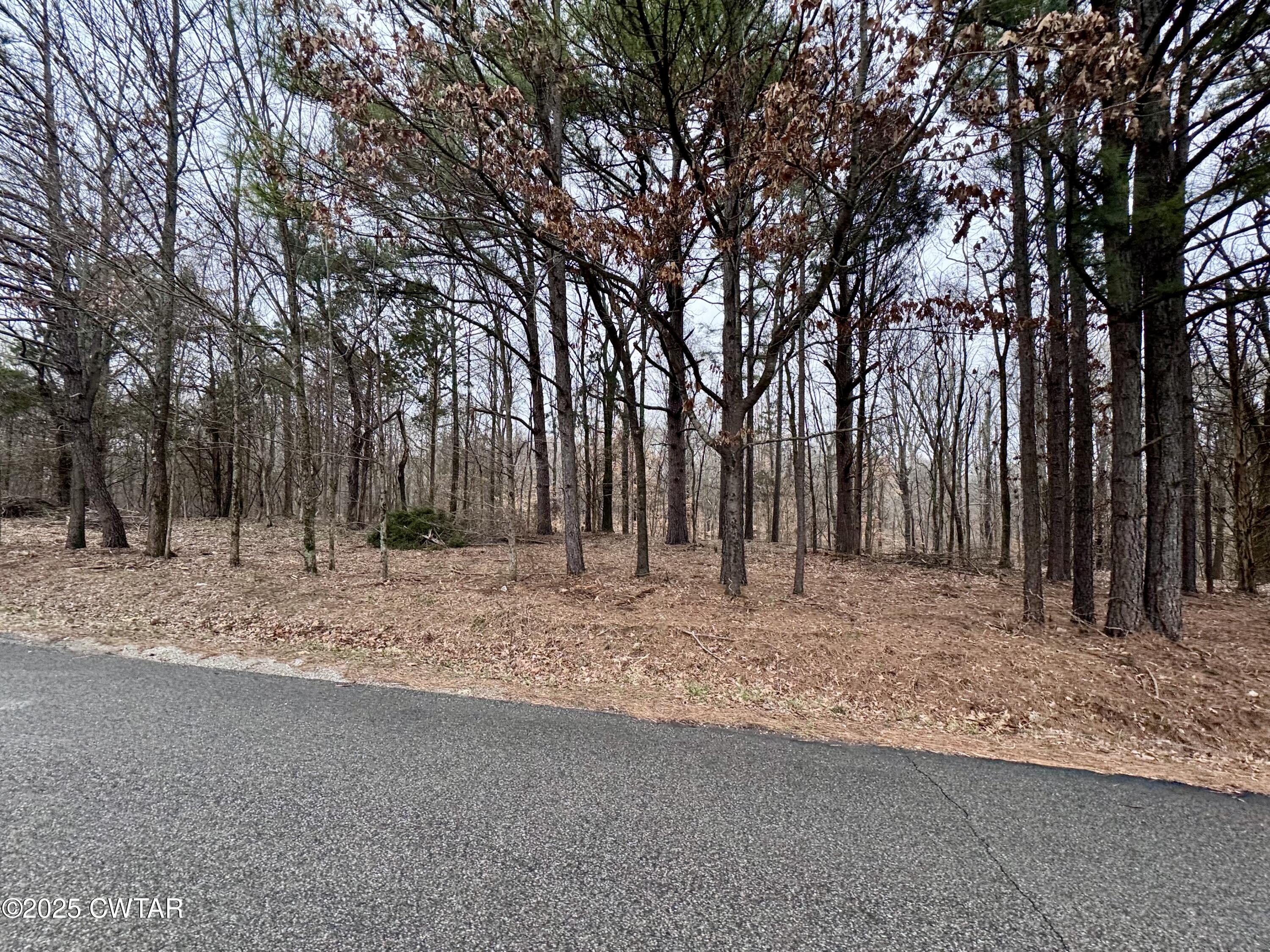 46 Lake Hayes Estates Road Trenton, TN 38382 - Photo 20 of 29 a view of a backyard with large trees