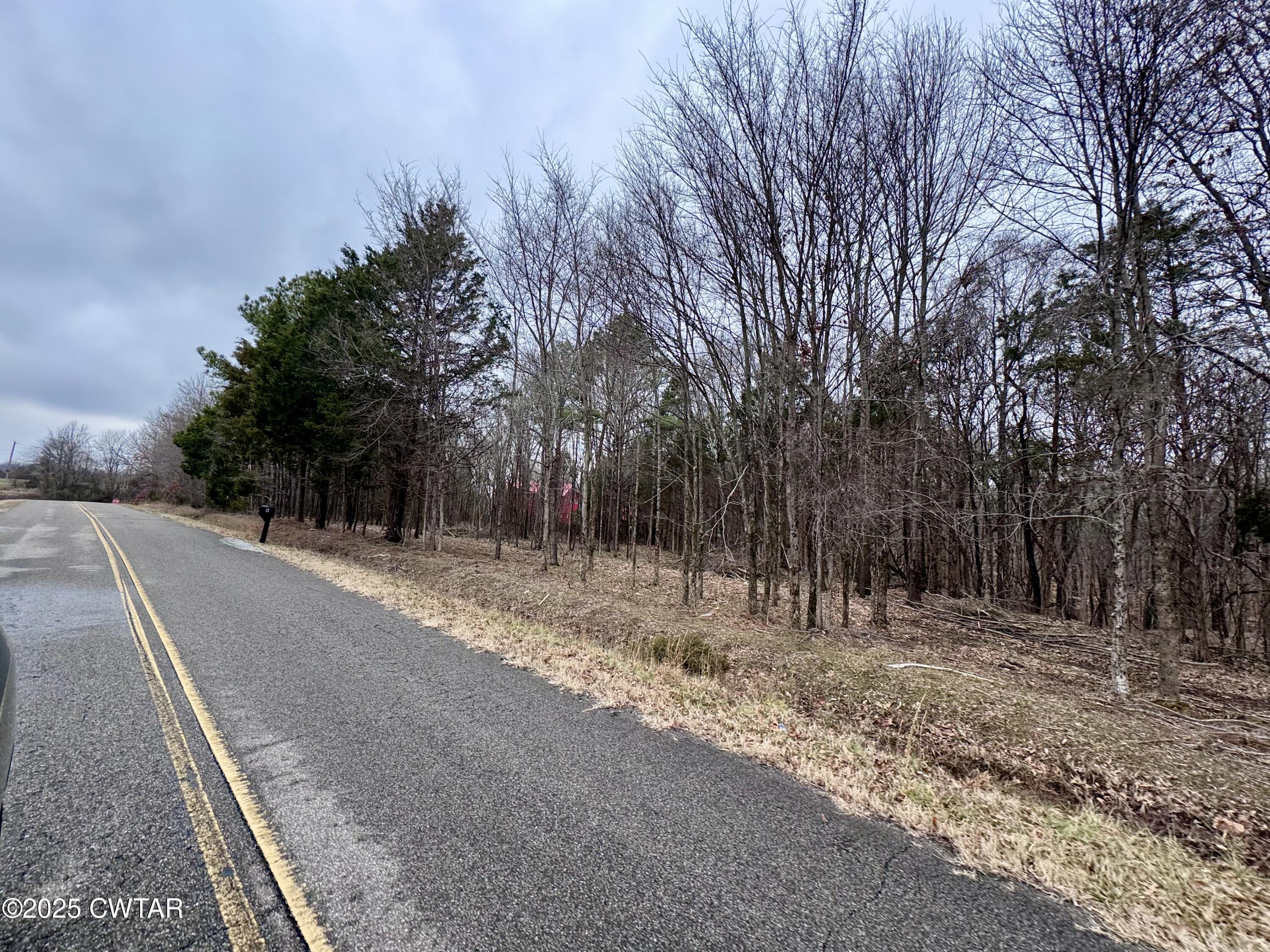 46 Lake Hayes Estates Road Trenton, TN 38382 - Photo 22 of 29 a view of outdoor space with trees