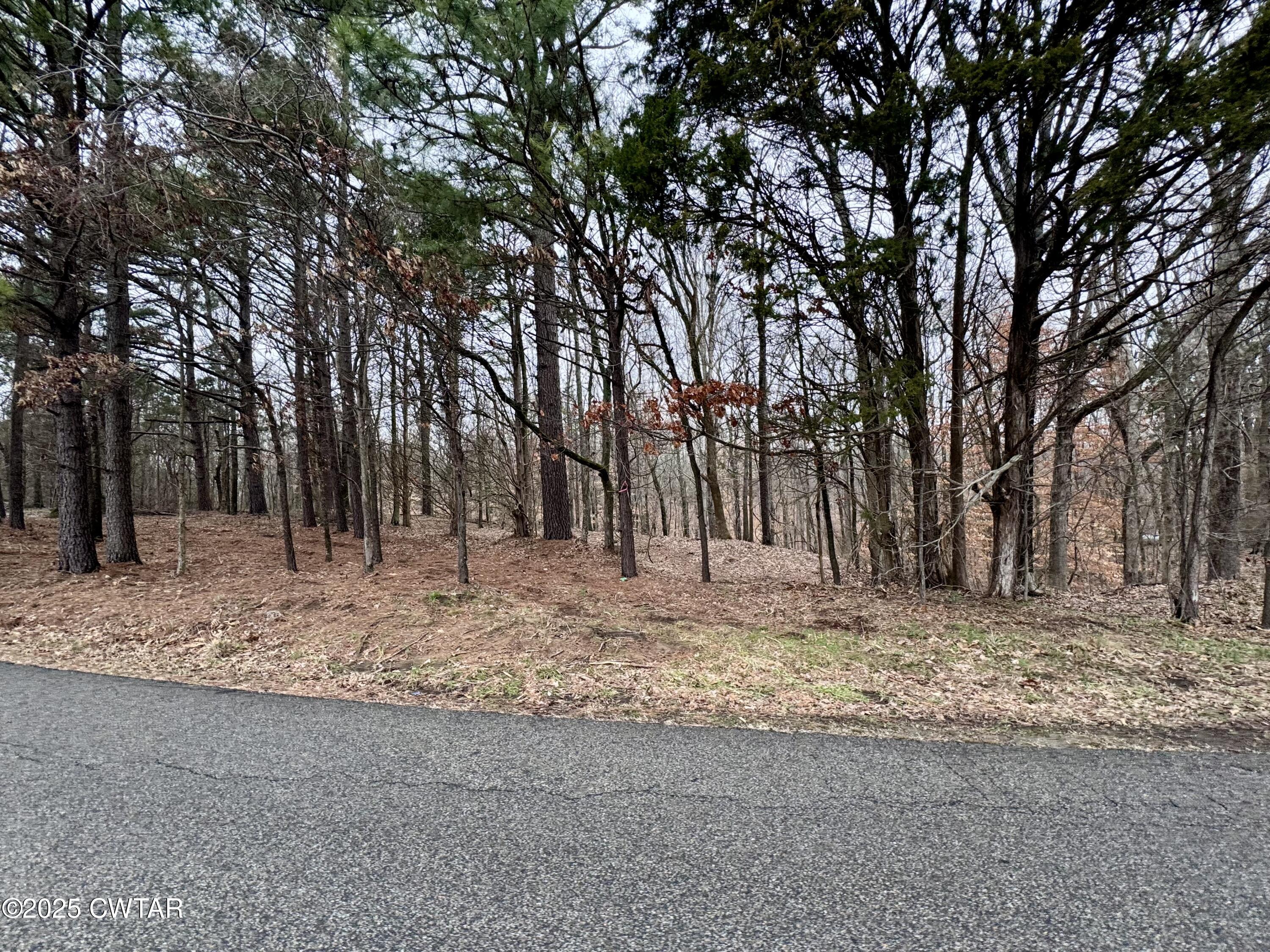 46 Lake Hayes Estates Road Trenton, TN 38382 - Photo 23 of 29 a view of a yard with large trees