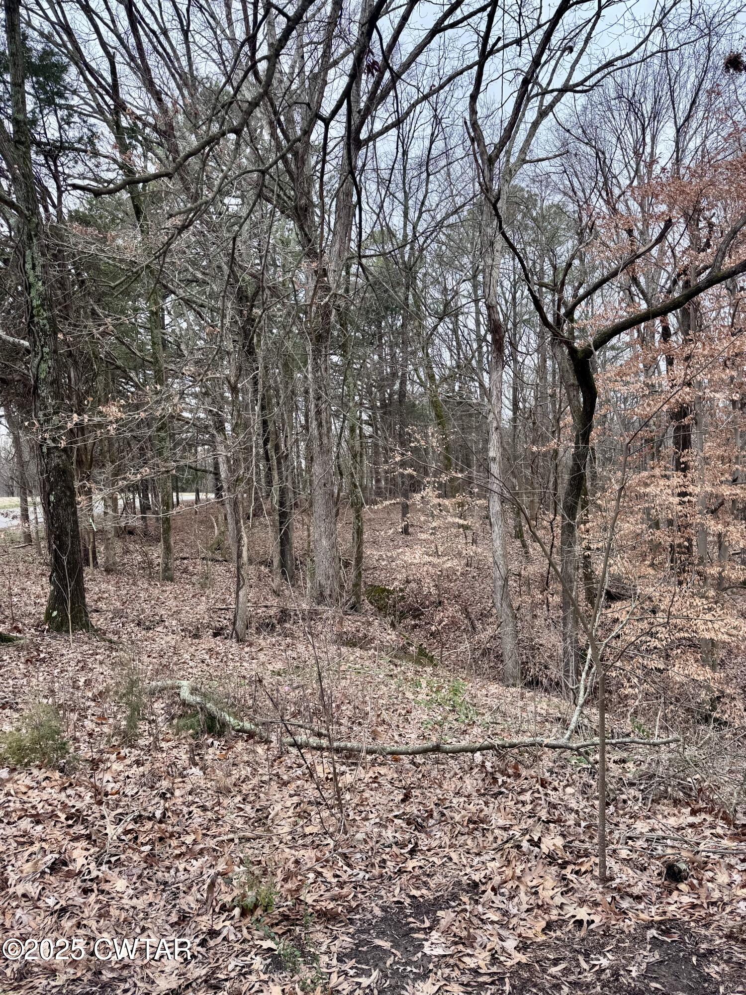46 Lake Hayes Estates Road Trenton, TN 38382 - Photo 24 of 29 a view of a yard with trees