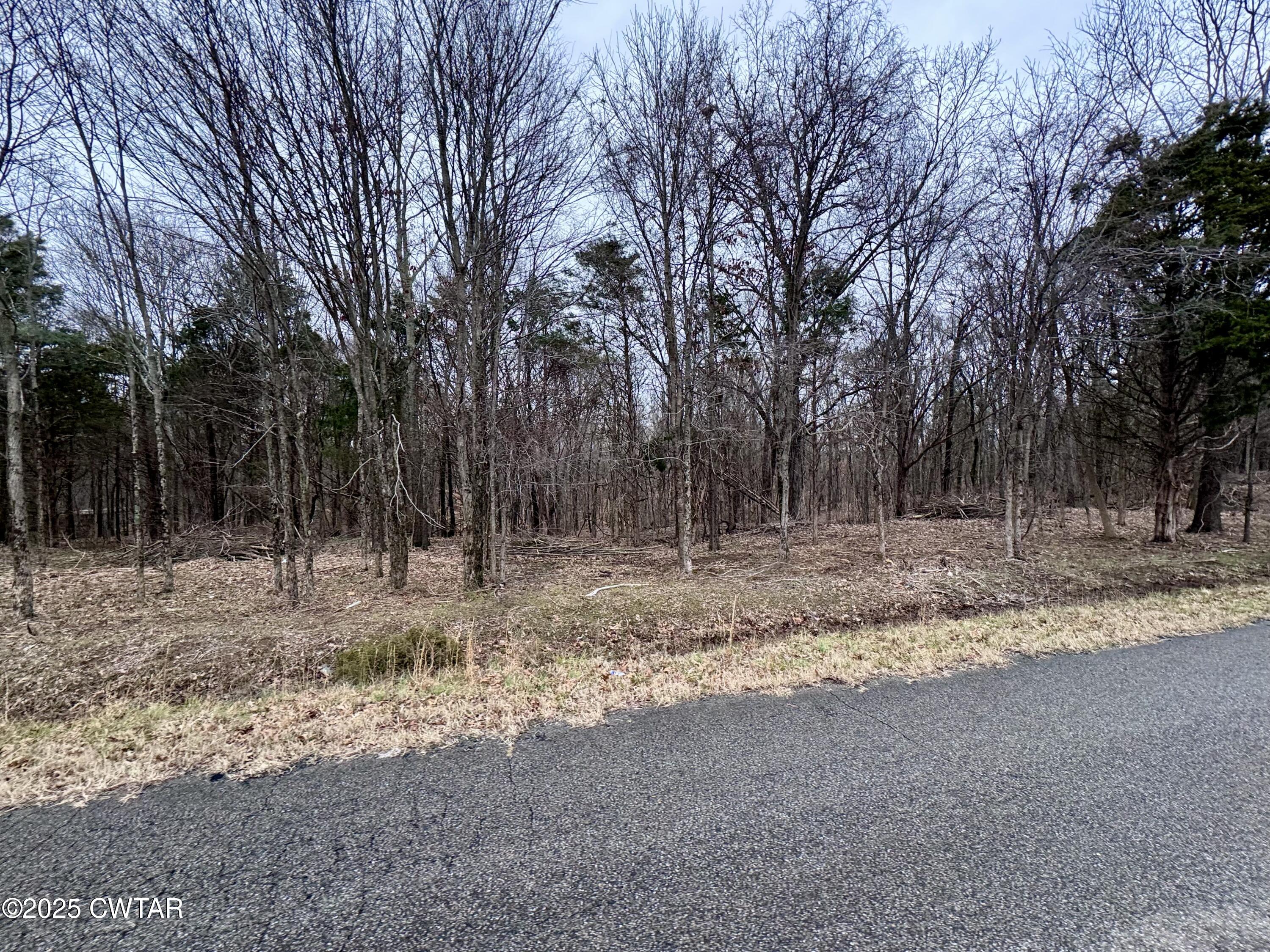 46 Lake Hayes Estates Road Trenton, TN 38382 - Photo 26 of 29 a view of a yard with a tree