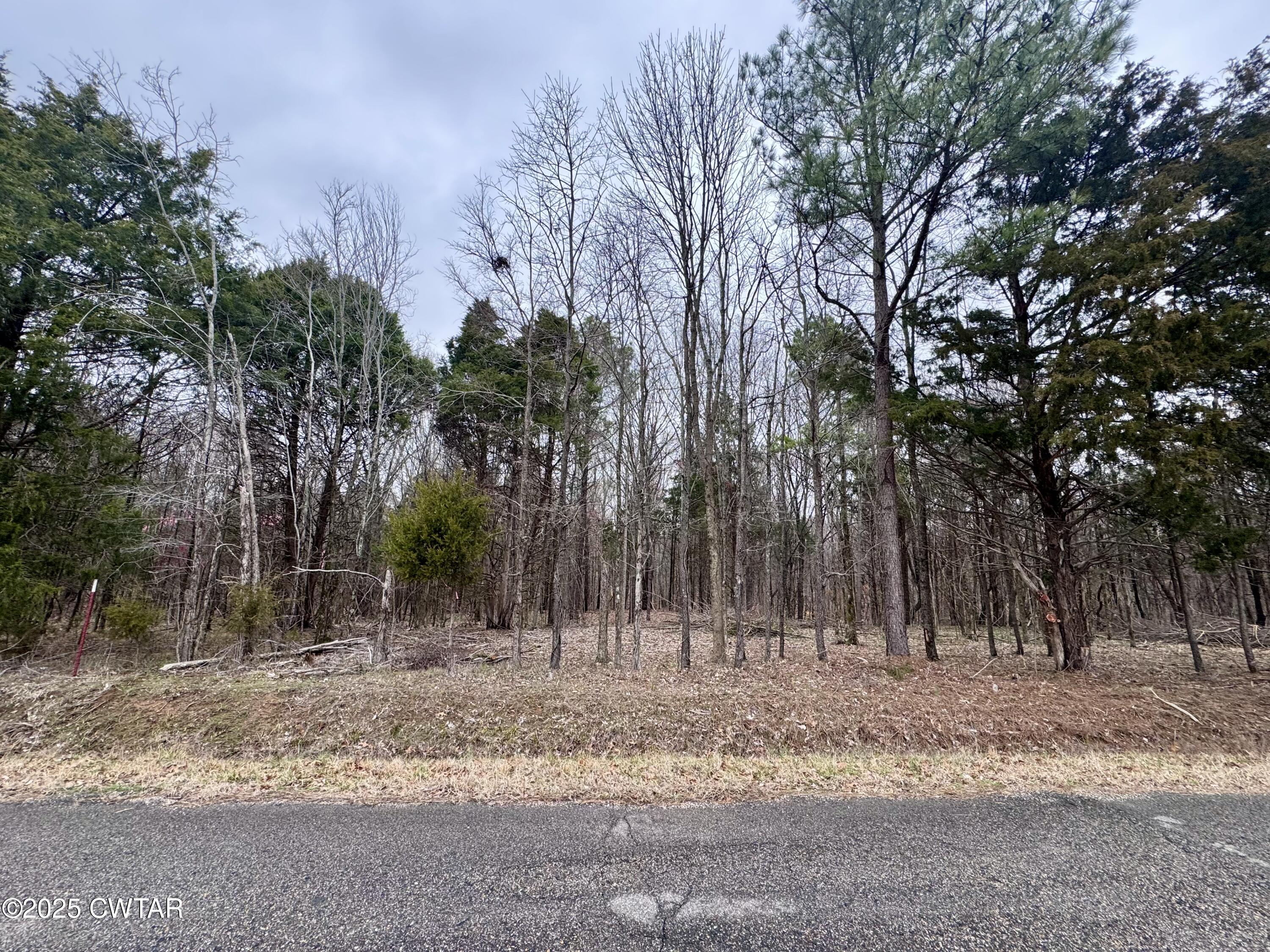 46 Lake Hayes Estates Road Trenton, TN 38382 - Photo 27 of 29 a backyard of a house with lots of trees