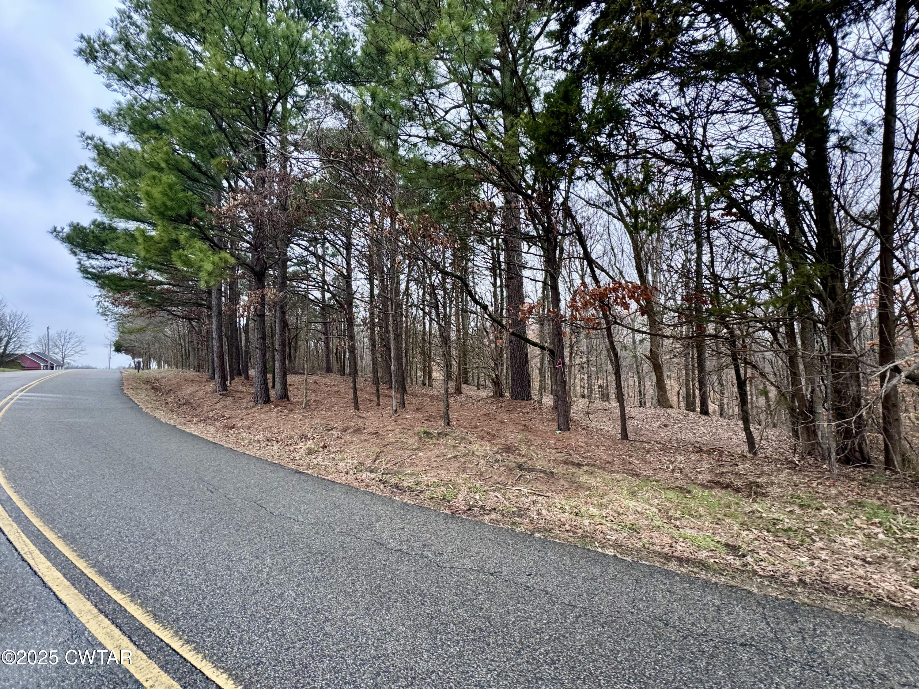 46 Lake Hayes Estates Road Trenton, TN 38382 - Photo 3 of 29 a view of a backyard with large trees