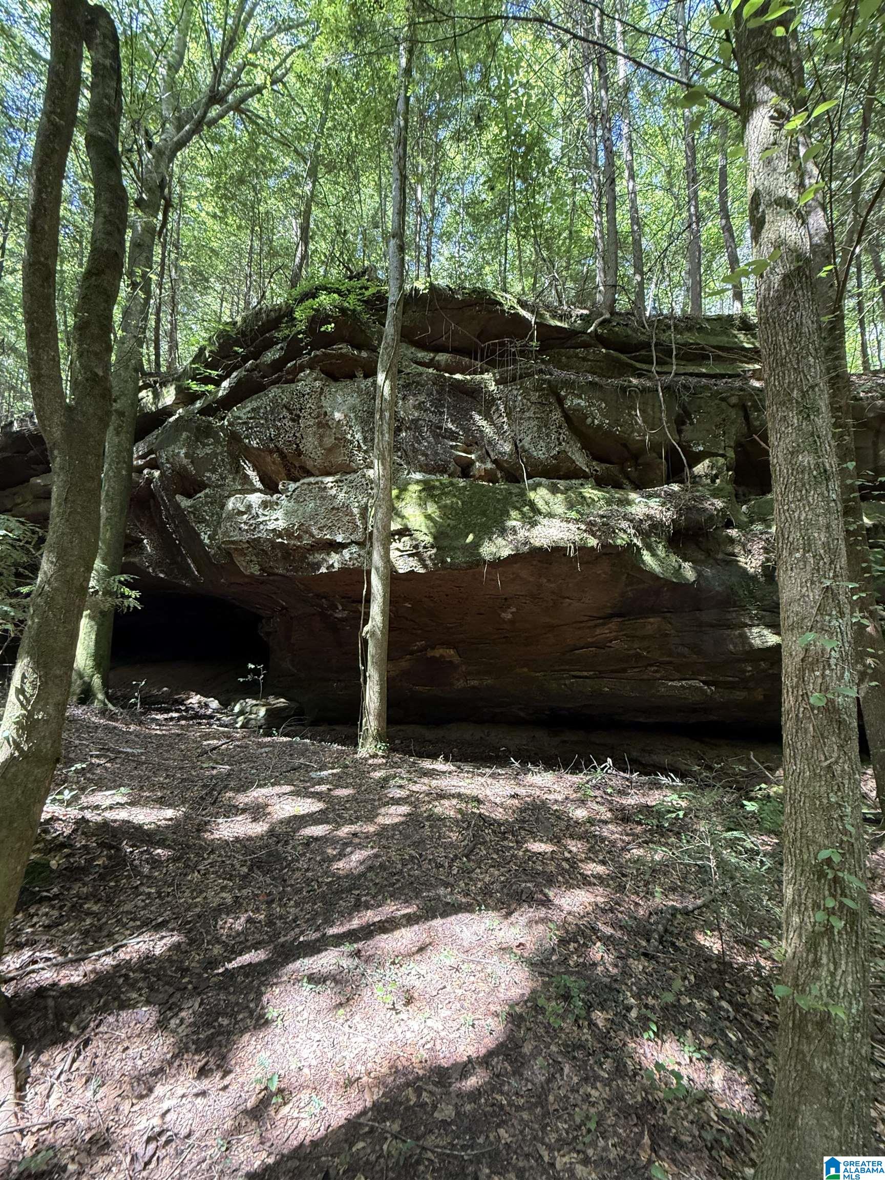 2 County Road 2, Unit 50 / ACRES Double Springs, AL 35553 - Photo 36 of 79