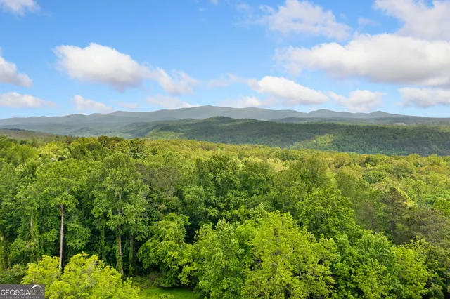 $324,900 | 153 Church Street, Ball Ground, GA 30107