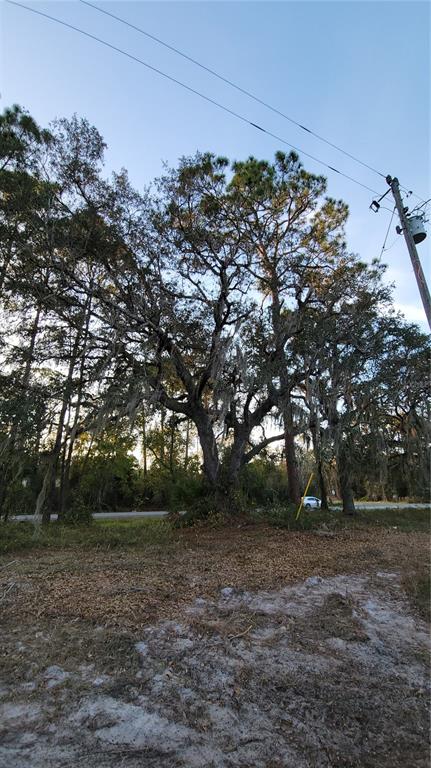 213 Clifton Road Crescent City, FL 32112 - Photo 48 of 52 Gallery Image 48