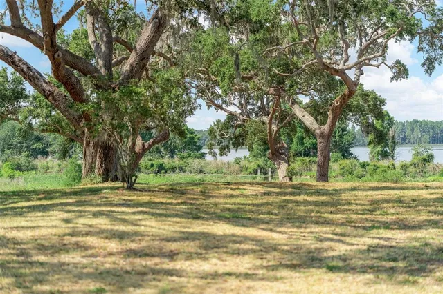 $750,000 | 29 Stone Lake Ranch Boulevard, Thonotosassa, FL 33592