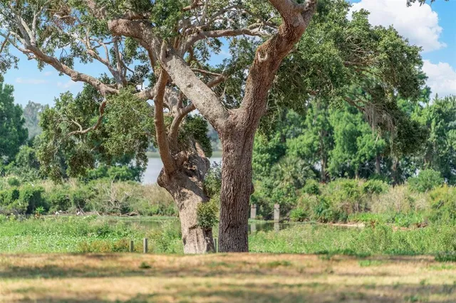 $750,000 | 29 Stone Lake Ranch Boulevard, Thonotosassa, FL 33592