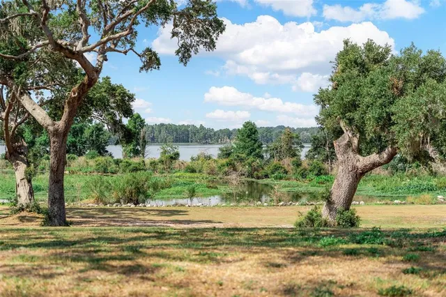 $750,000 | 29 Stone Lake Ranch Boulevard, Thonotosassa, FL 33592