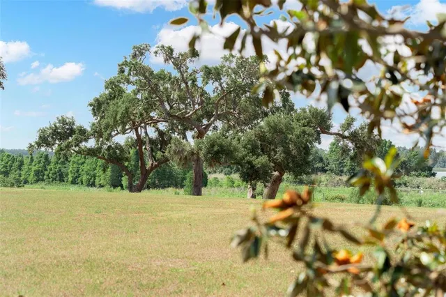 $750,000 | 29 Stone Lake Ranch Boulevard, Thonotosassa, FL 33592