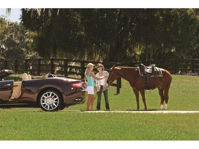 $750,000 | 29 Stone Lake Ranch Boulevard, Thonotosassa, FL 33592