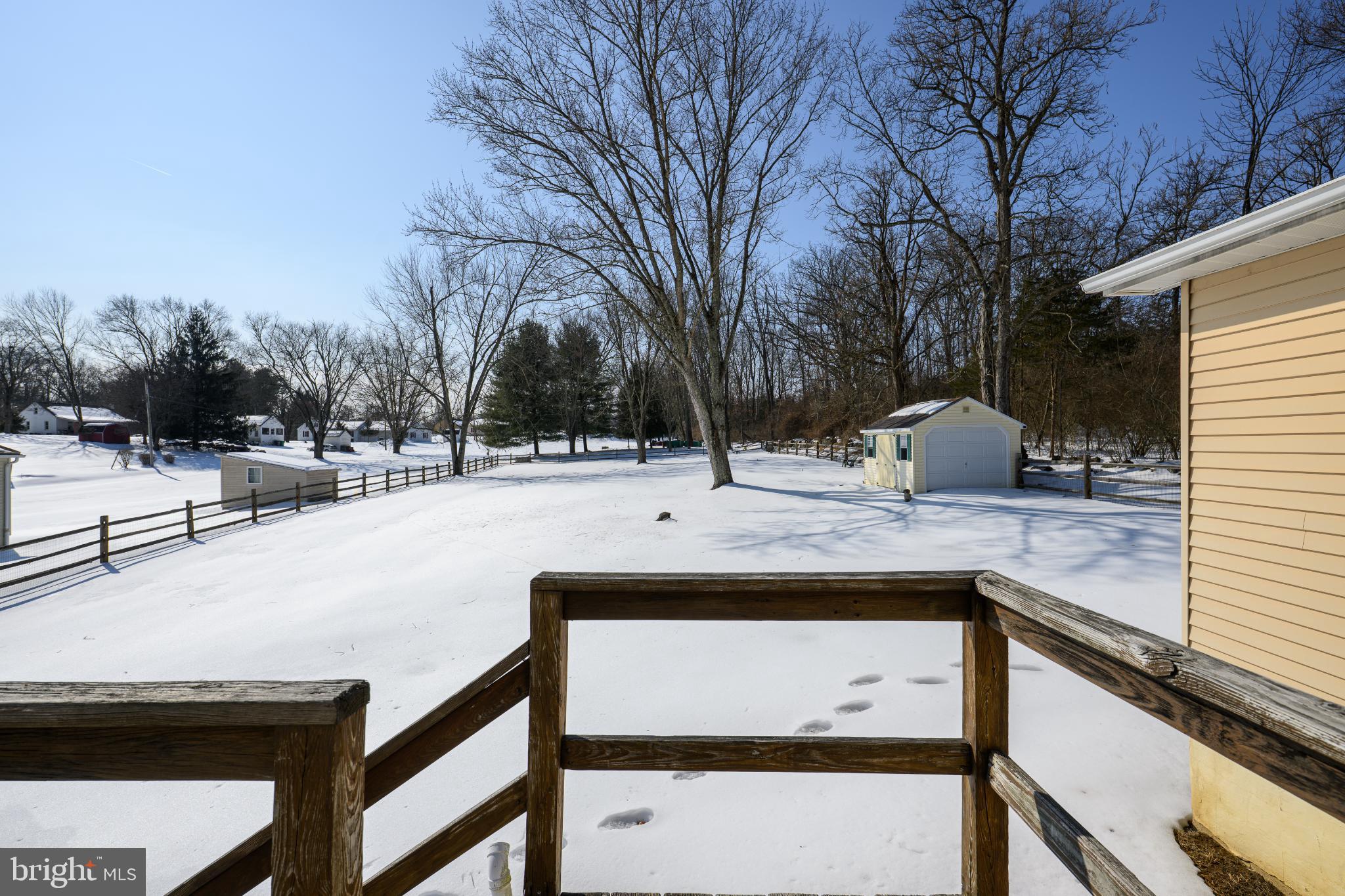 Serene winter landscape with fresh snow.