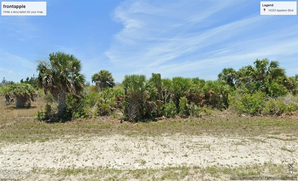 14333 Appleton Boulevard Port Charlotte, FL 33981 - Photo 4 of 5 a view of a yard with a tree