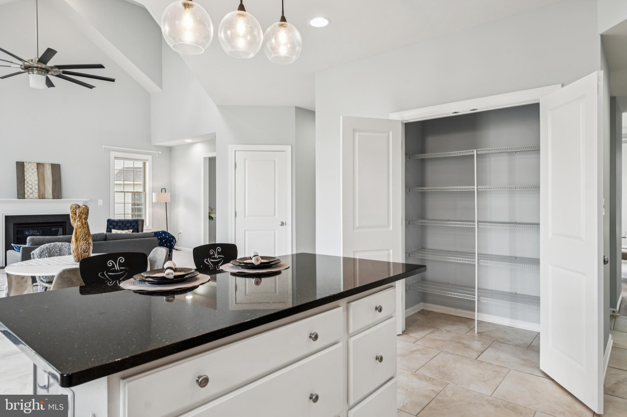 1105 Verbena Court Silver Spring, MD 20906 - Photo 17 of 79 Pantry next Kitchen Island