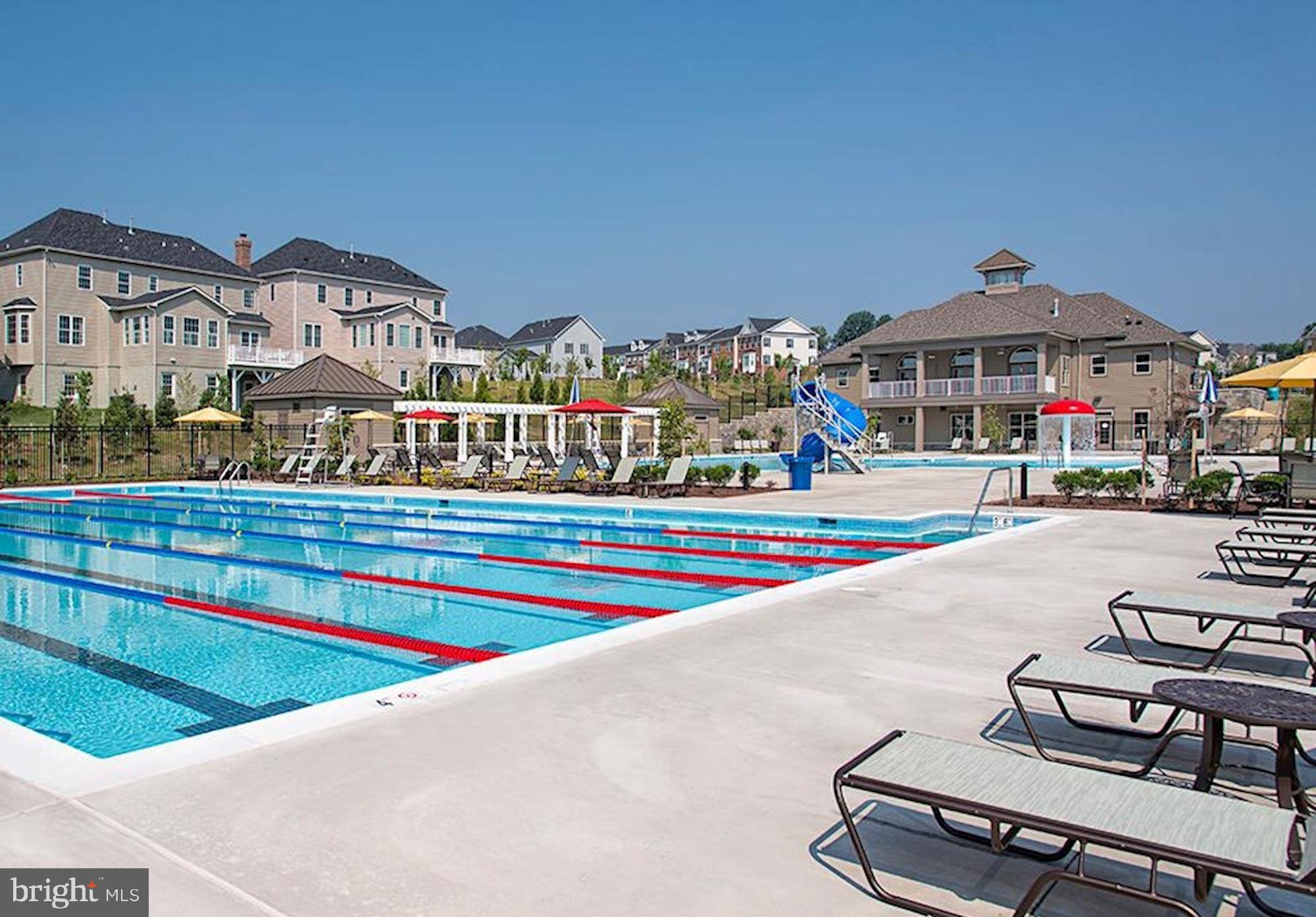 1105 Verbena Court Silver Spring, MD 20906 - Photo 68 of 79 Lap Pool