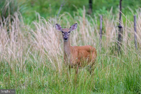 $998,000 | 1105 Verbena Court, Silver Spring, MD 20906
