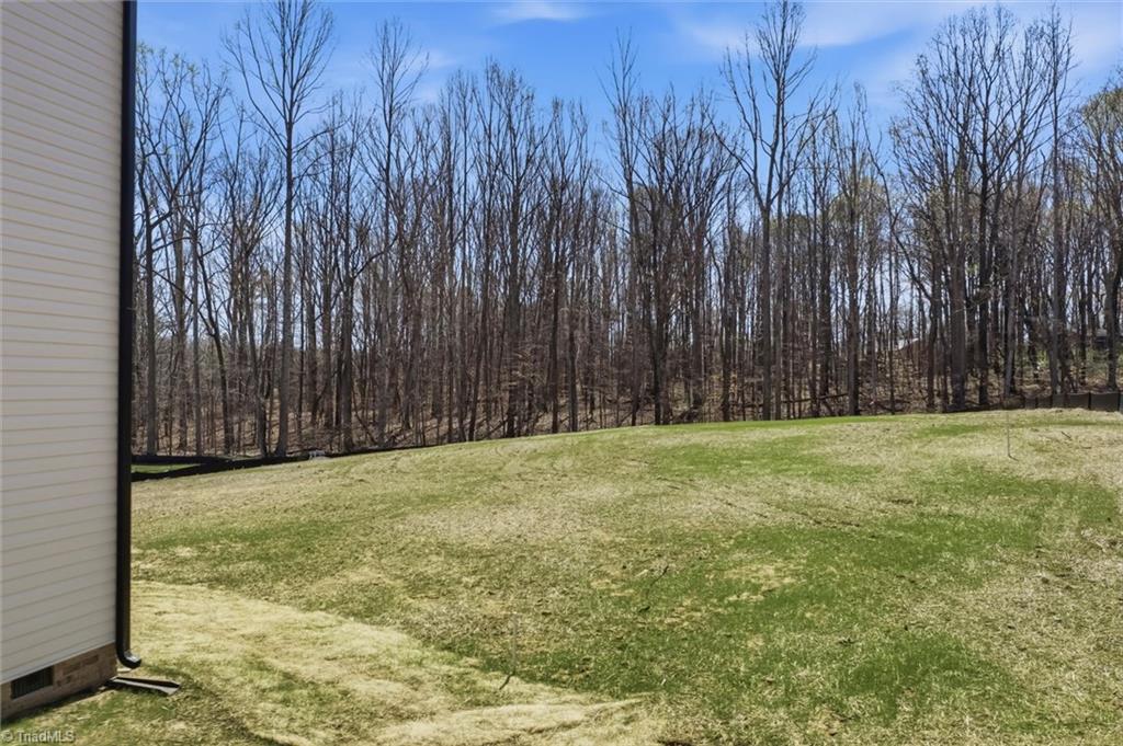 6055 Frye Bridge Road Clemmons, NC 27012 - Photo 36 of 42