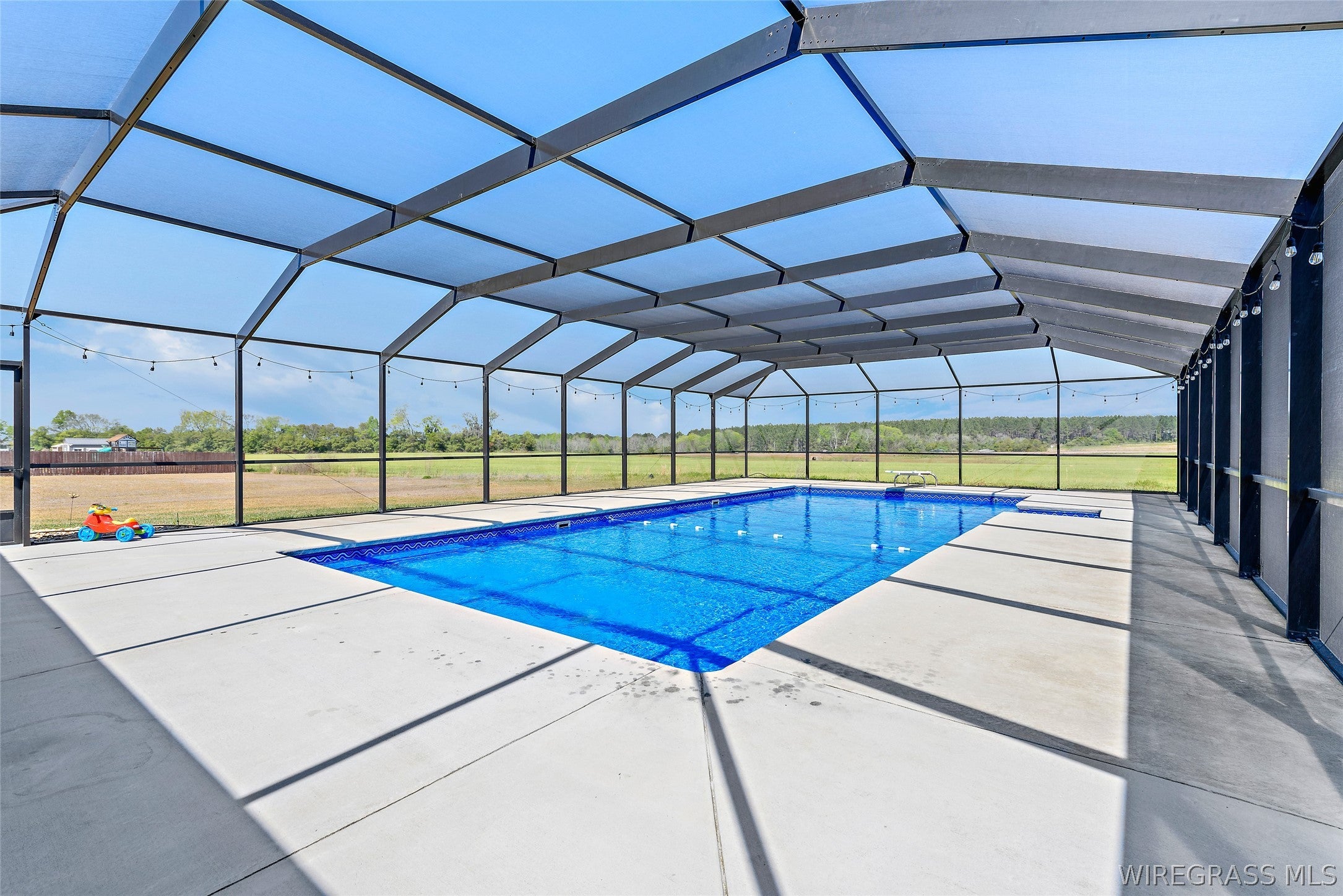 271 Sandbed Road Newton, AL 36352 - Photo 32 of 33 Saltwater Pool