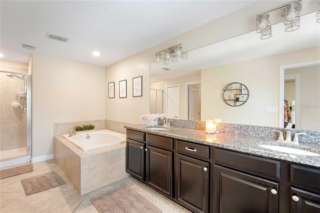 17365 Old Tobacco Road Lutz, FL 33558 - Photo 27 of 44 a spacious bathroom with a granite countertop sink mirror and bathtub
